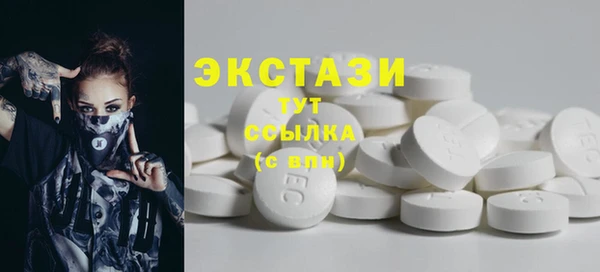 ECSTASY Алзамай